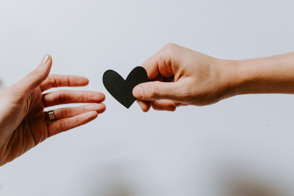 kelly sikkema XX2WTbLr3r8 unsplash 2048x1365 1 | Credo Growth