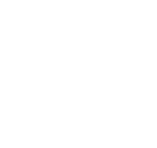 about icons 1 | Credo Growth
