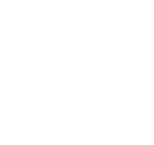 about icons 2 | Credo Growth