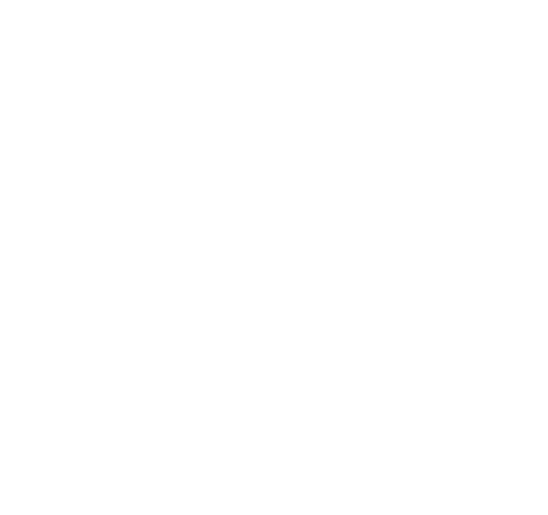 about icons 6 | Credo Growth