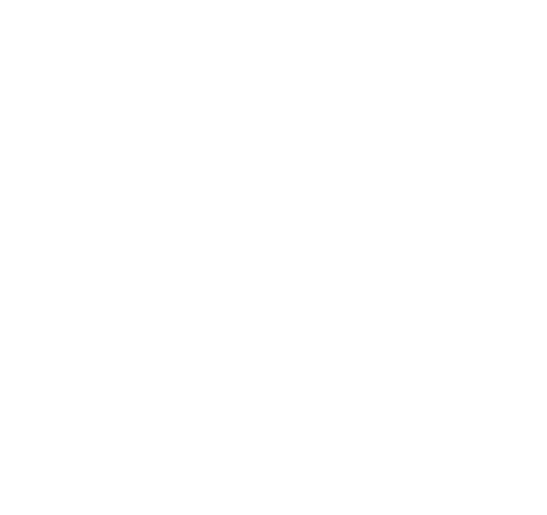 about icons 8 | Credo Growth