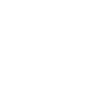 guiding actions icons 1 | Credo Growth