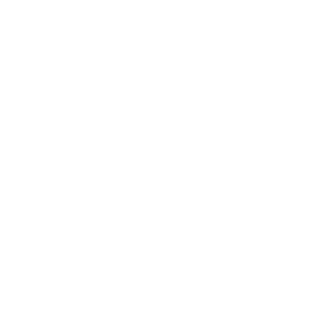 guiding actions icons 2 | Credo Growth