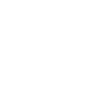 guiding actions icons 3 | Credo Growth