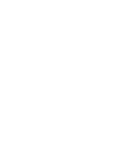icons 1 | Credo Growth