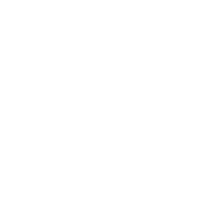 icons 3 | Credo Growth